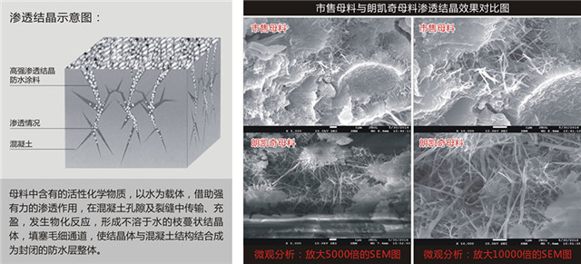 EZ615 高強滲透結(jié)晶2